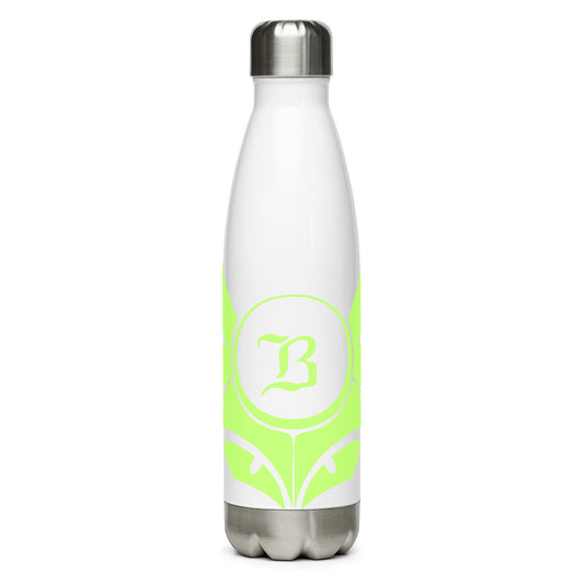 Stainless steel water bottle