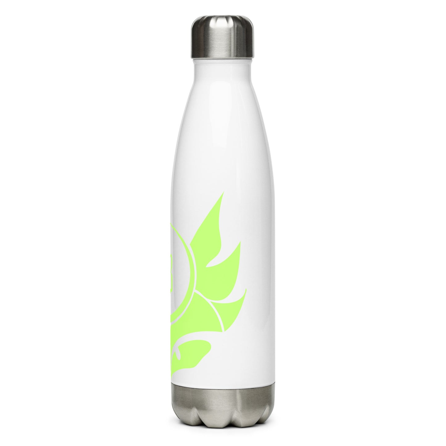 Stainless steel water bottle