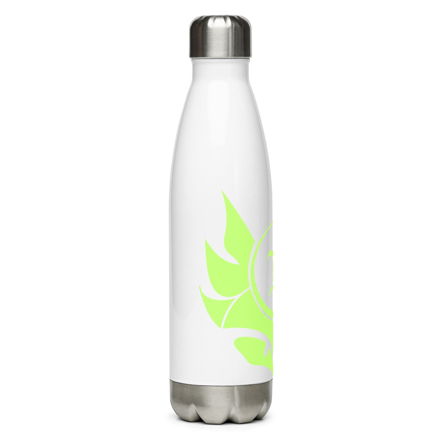 Stainless steel water bottle